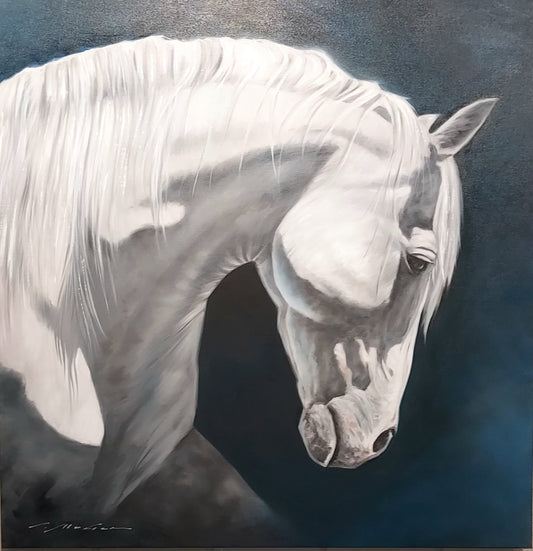 John Maher/White Stallion